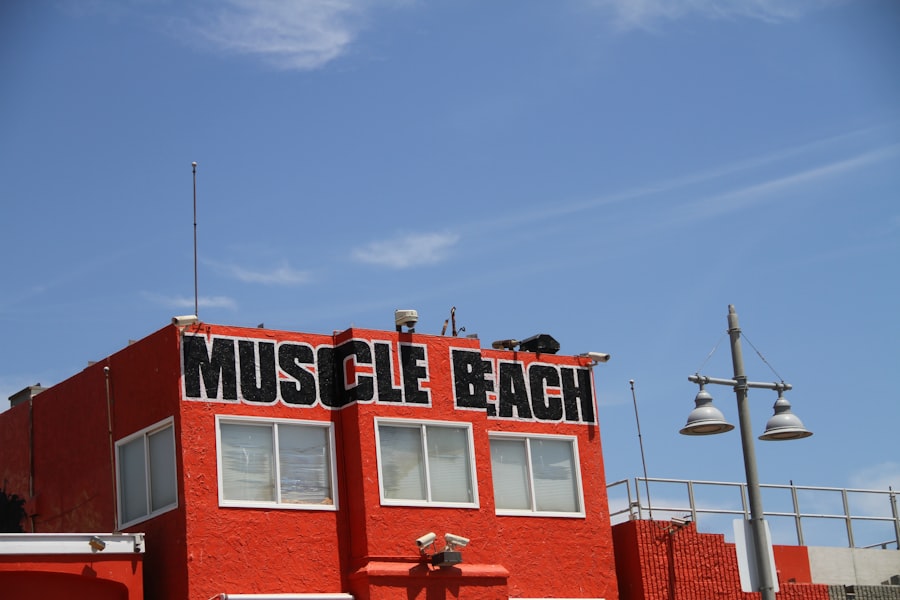 muscle mass