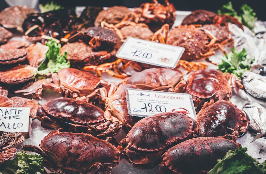 fatty liver cognitive decline