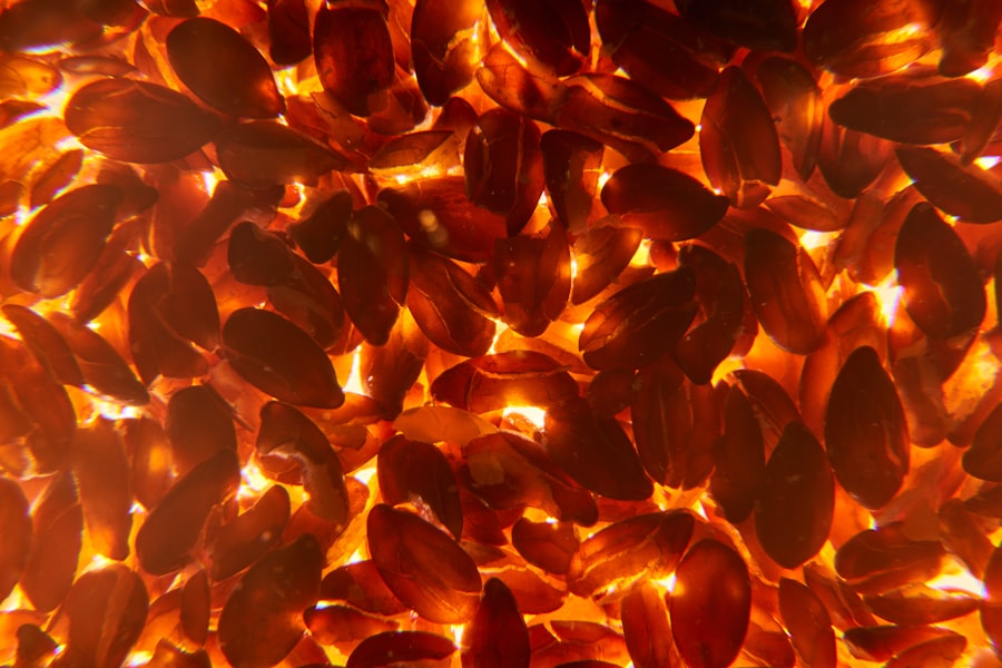 iron supplements