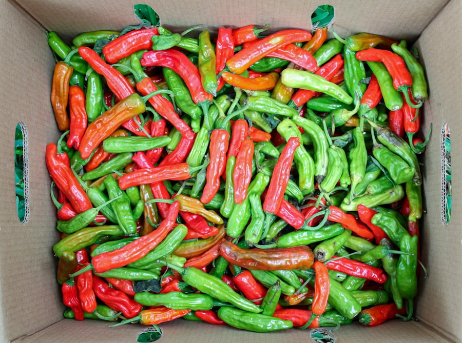 solanine content in peppers