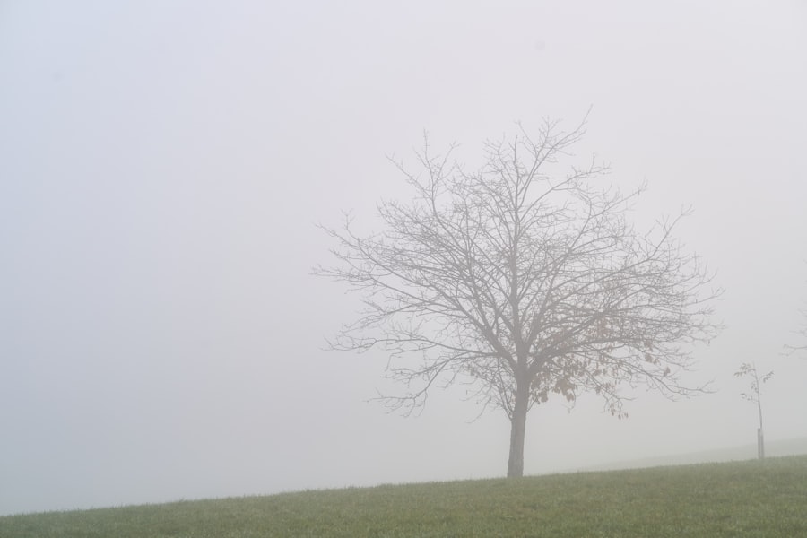 clear brain fog