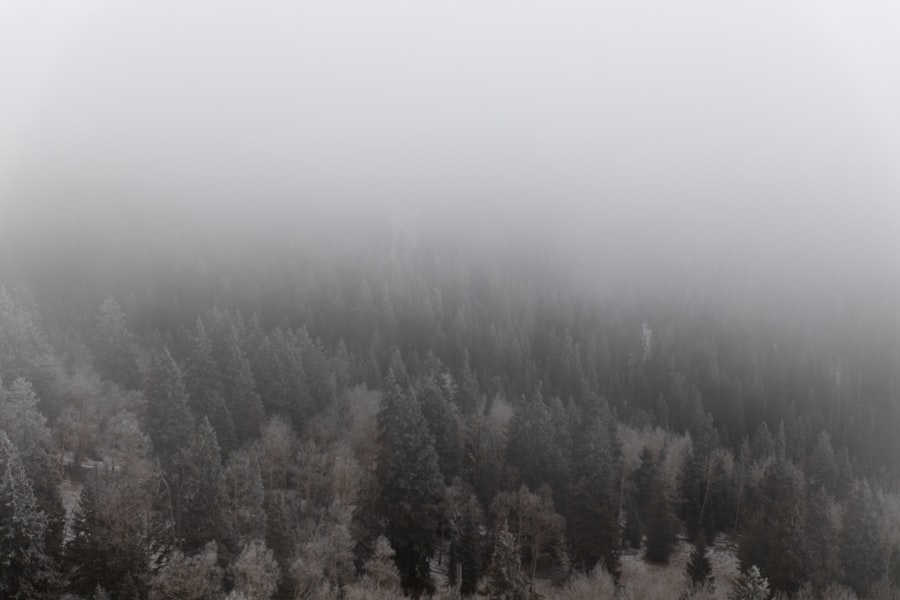clear brain fog