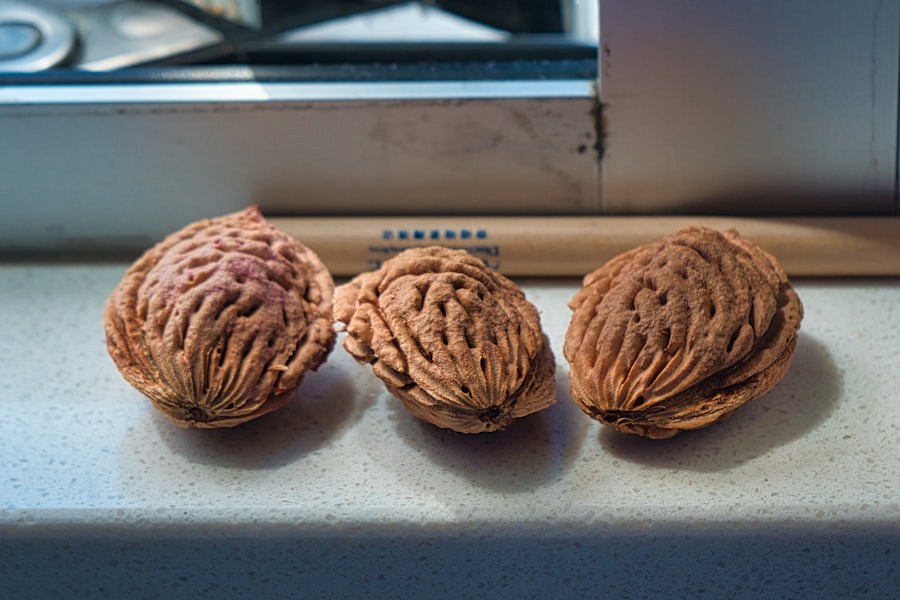 brain foods