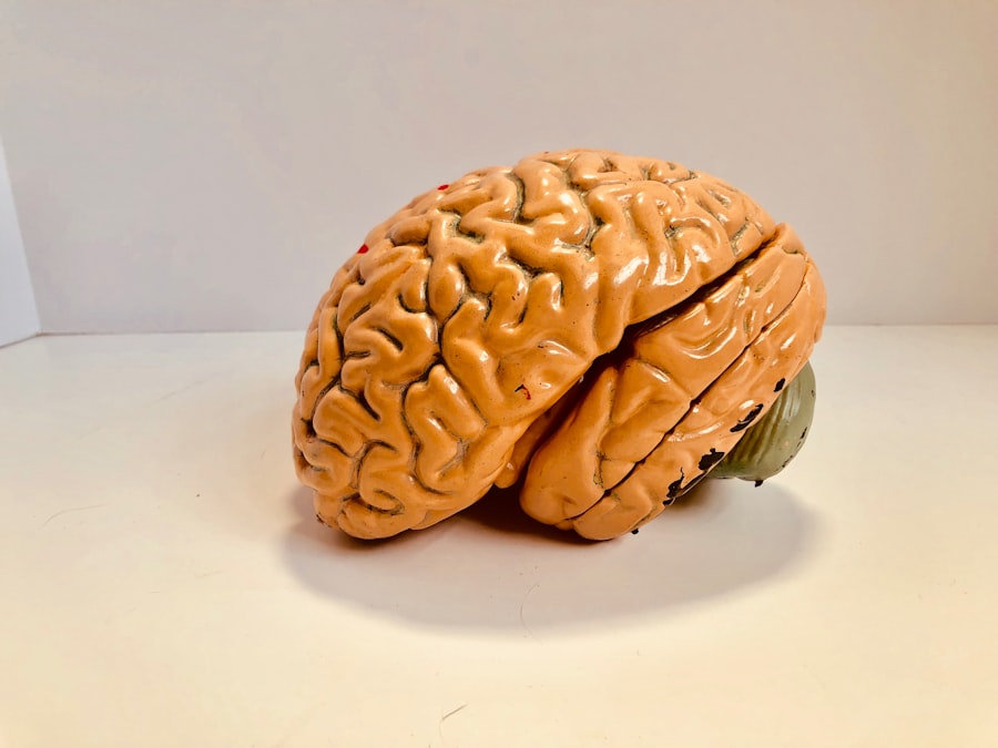 brain protective foods
