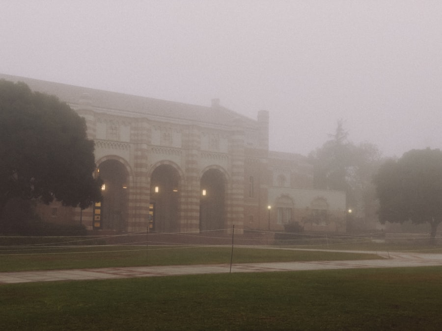 brain fog