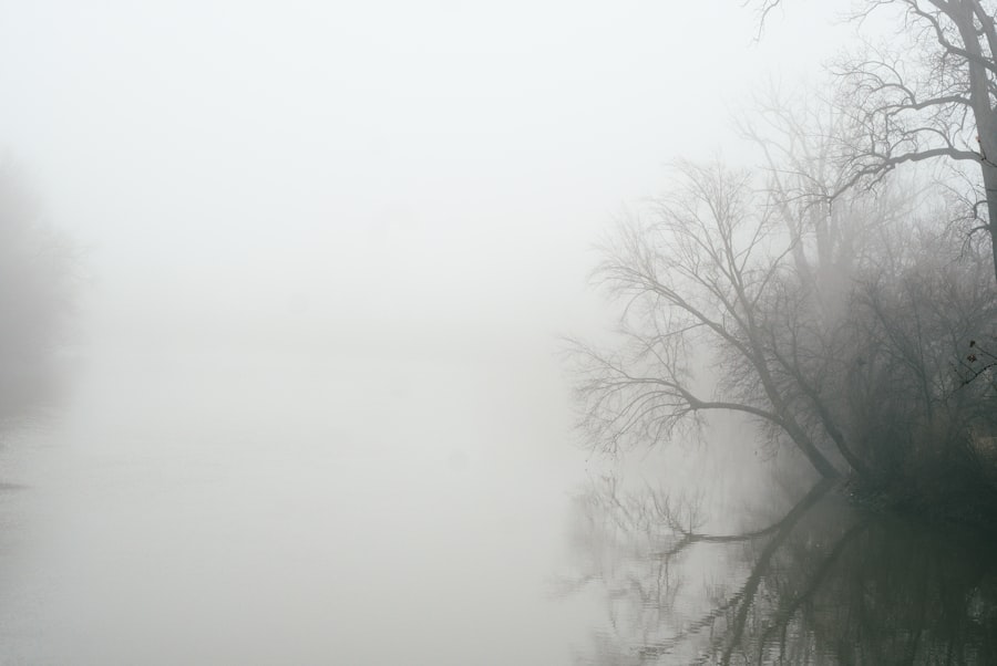 B12 Brain Fog