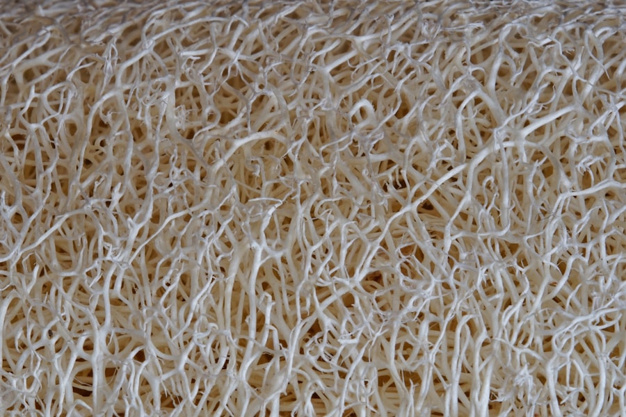 fiber