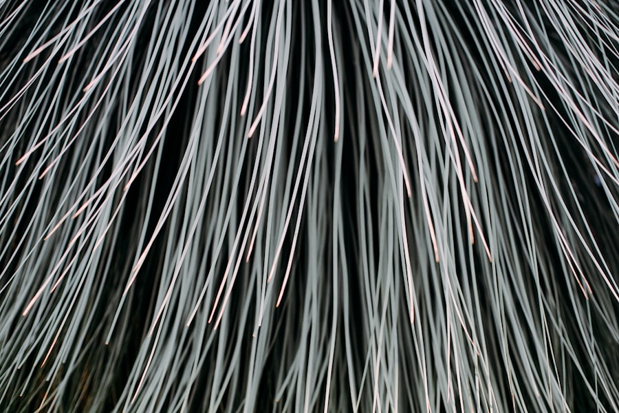 fiber and processing speed