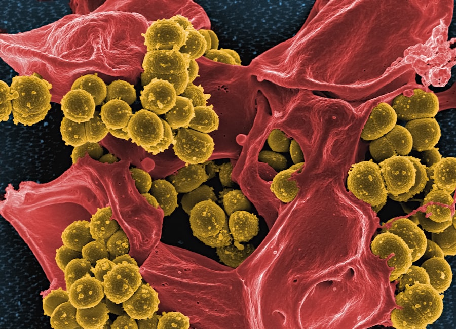 microbiome health