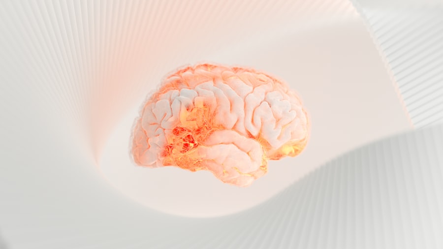 whey protein, memory enhancement, seniors