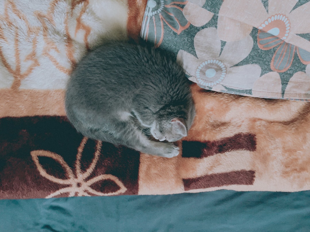 Photo sleeping position