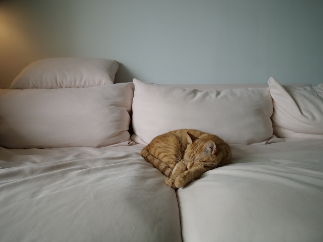 Photo adjustable pillow