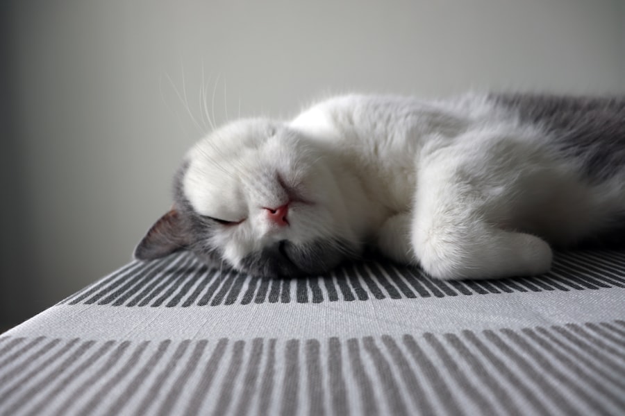 Photo sleep alignment