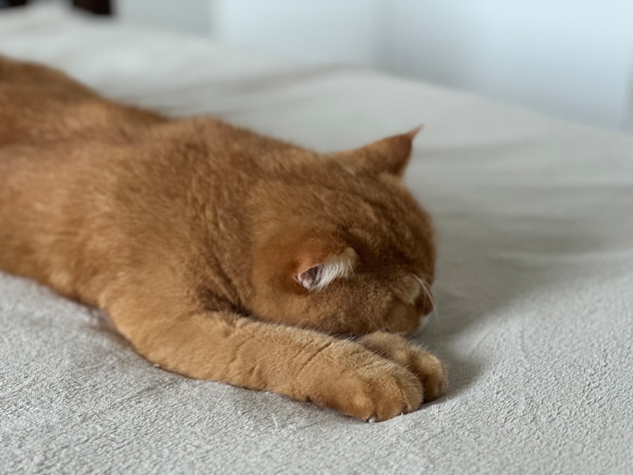 Photo sleeping position