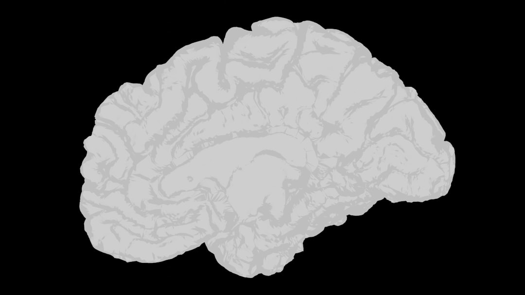 Photo fiber, executive function, memory