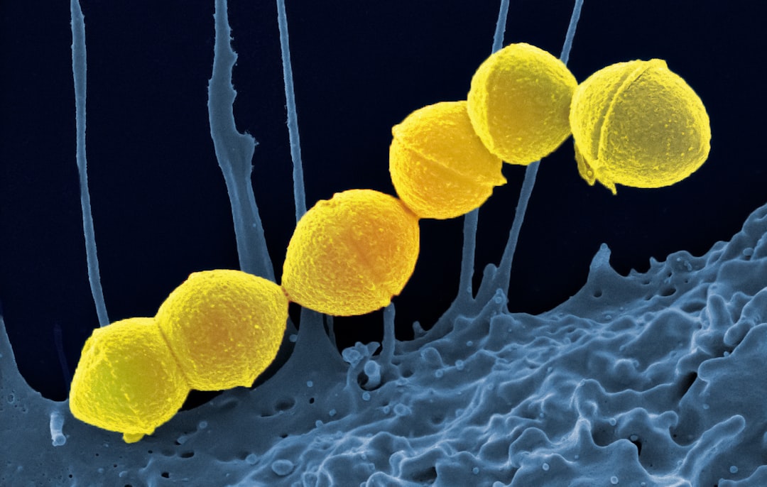 Photo microbiome health