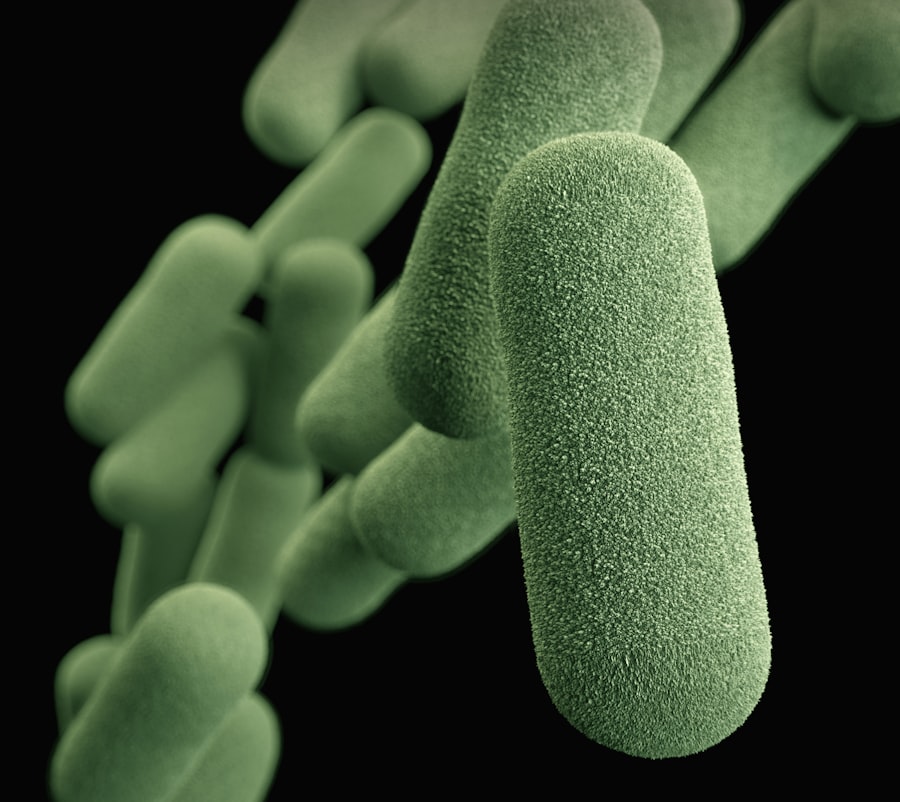 Photo microbiome health