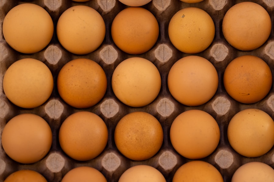 Photo protein