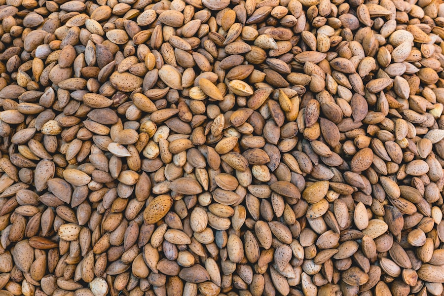 Photo protein sources