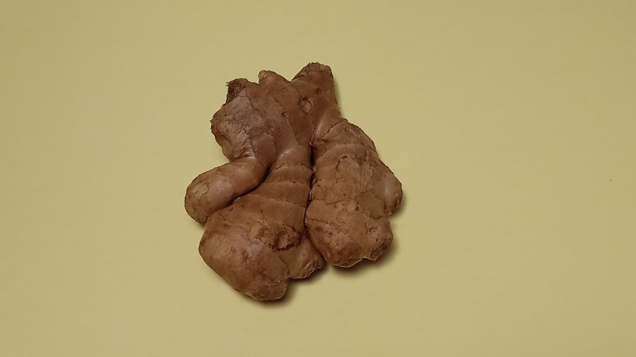 Photo fatty liver