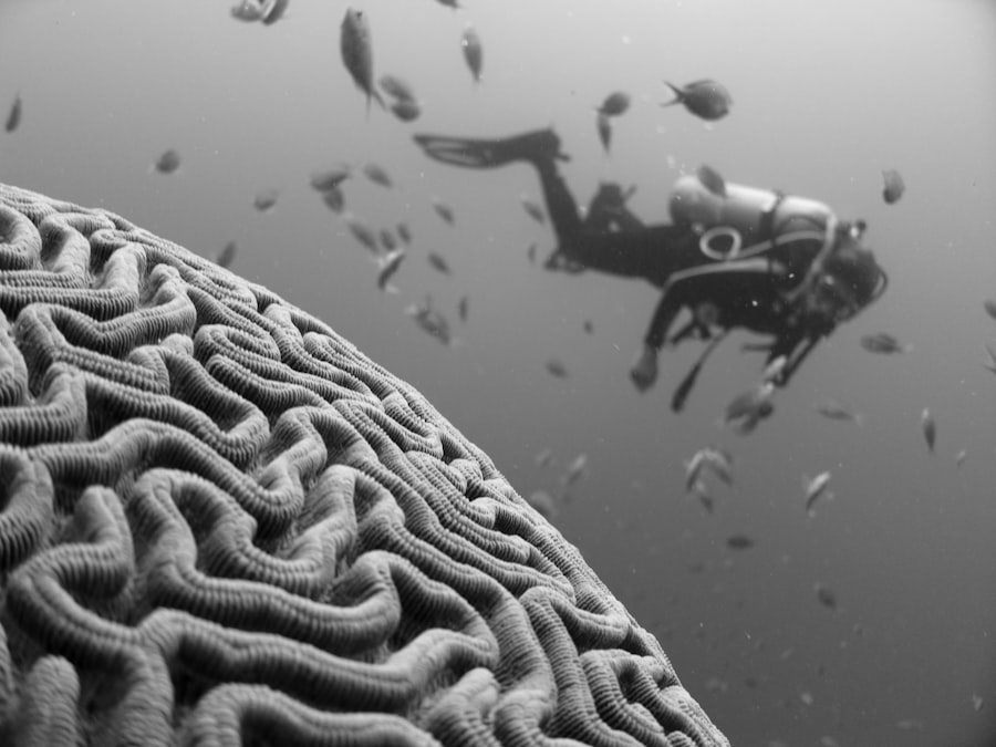 Photo cognitive impairment