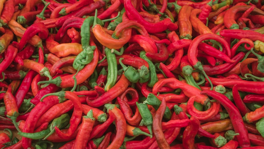Photo solanine content in peppers