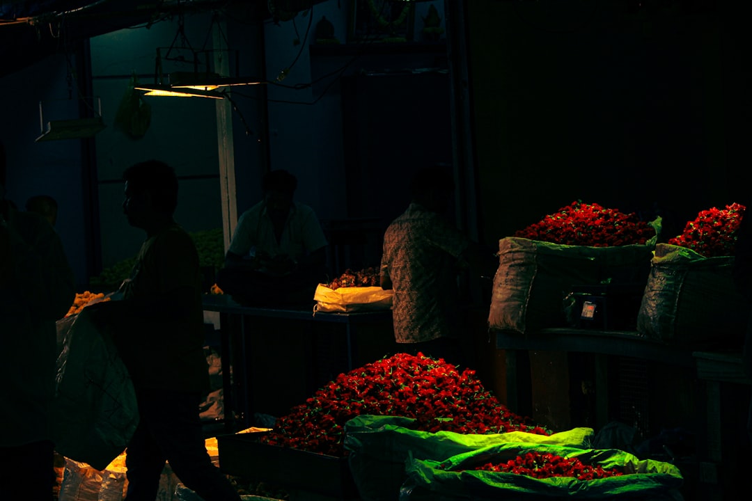 Photo nightshade vegetables