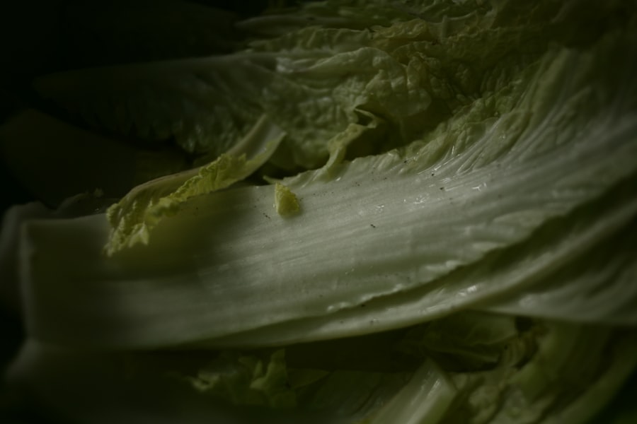 Photo nightshade vegetables