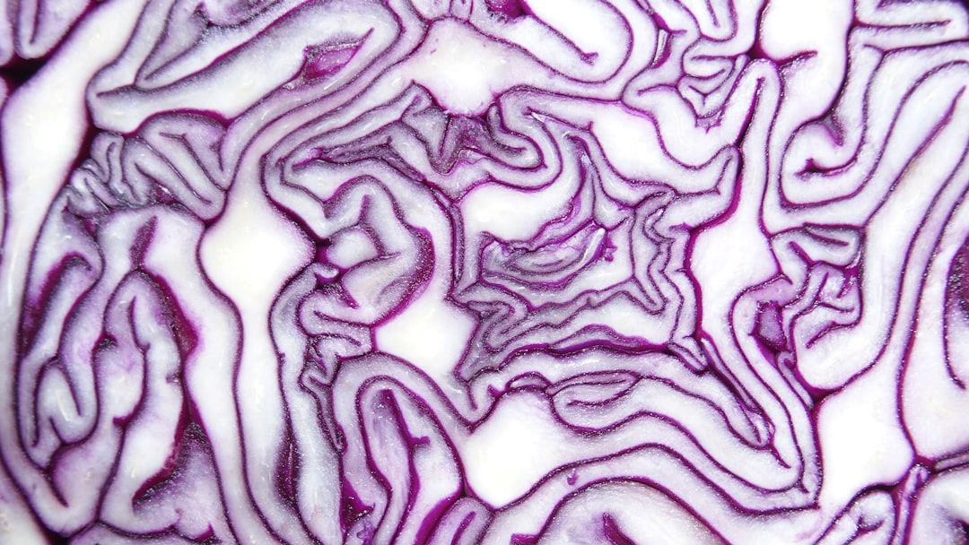 Photo cellulose digestion issues