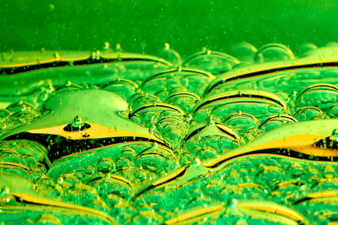 Photo heal leaky gut