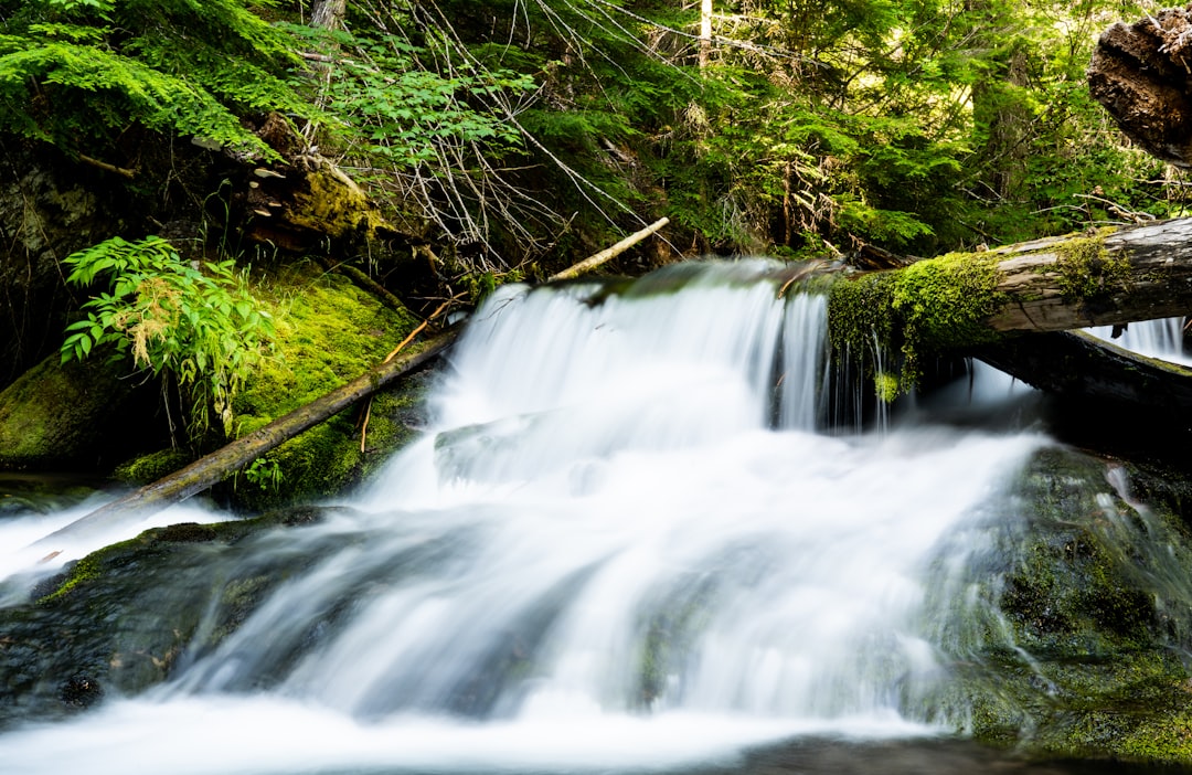 Photo falls