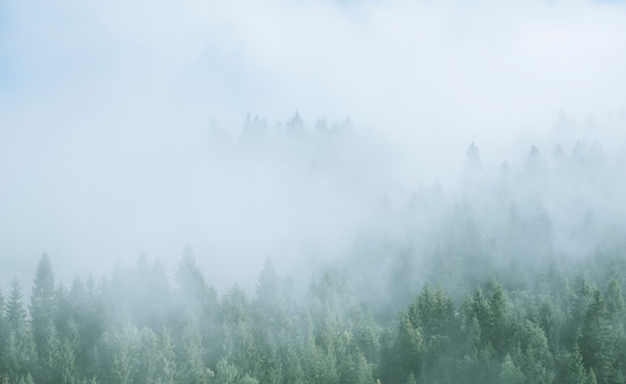 Photo natural remedies brain fog