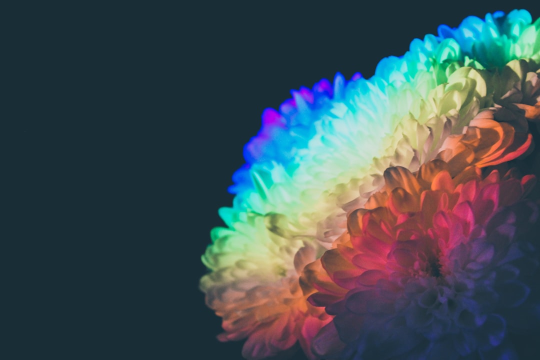 Photo brain structure