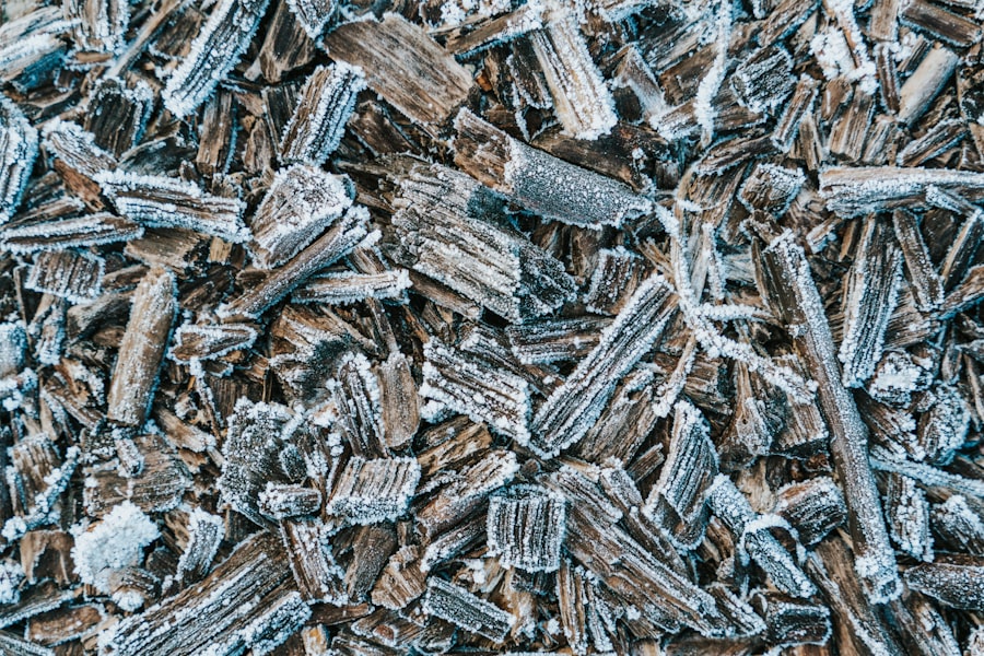 Photo Magnesium
