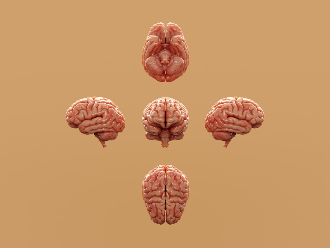 Photo brain sharp
