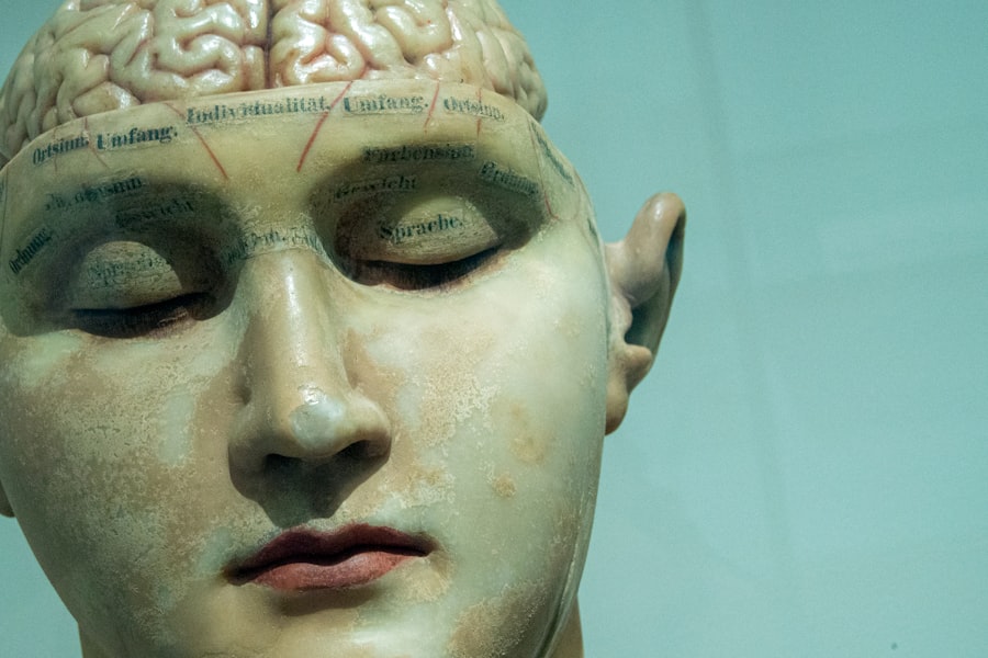 Photo brain sharp