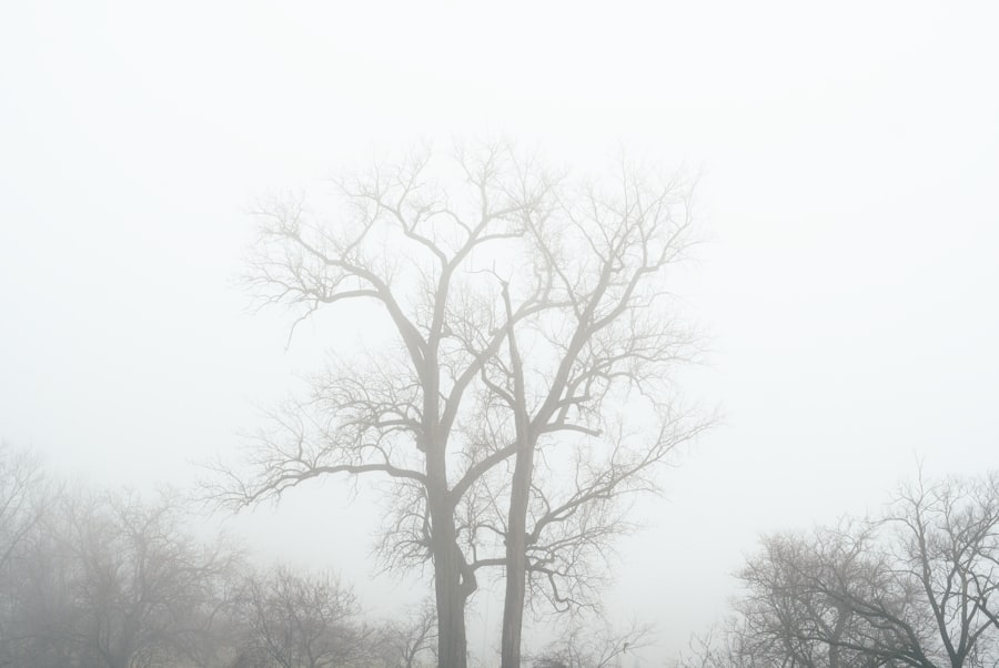 Photo clear brain fog