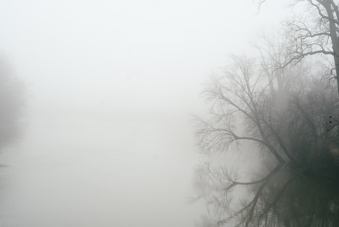 Photo clear brain fog