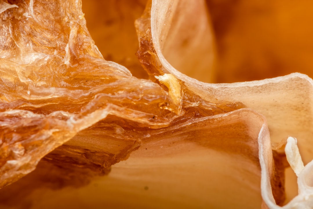 Photo Bone Density Supplements