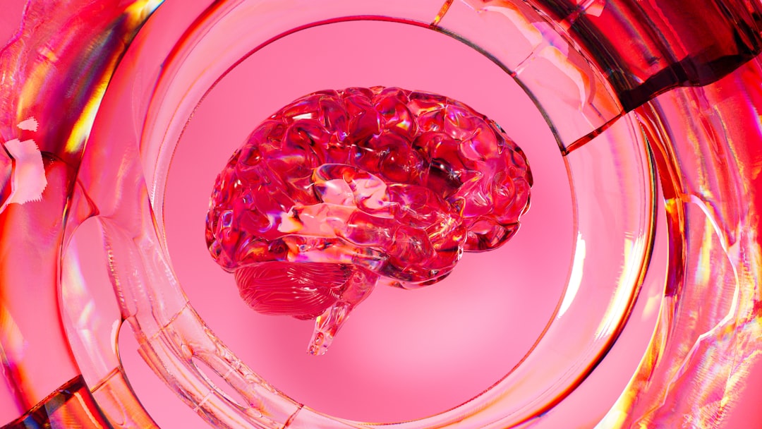 Photo brain foods