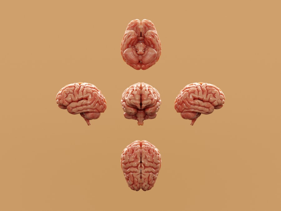 Photo brain foods