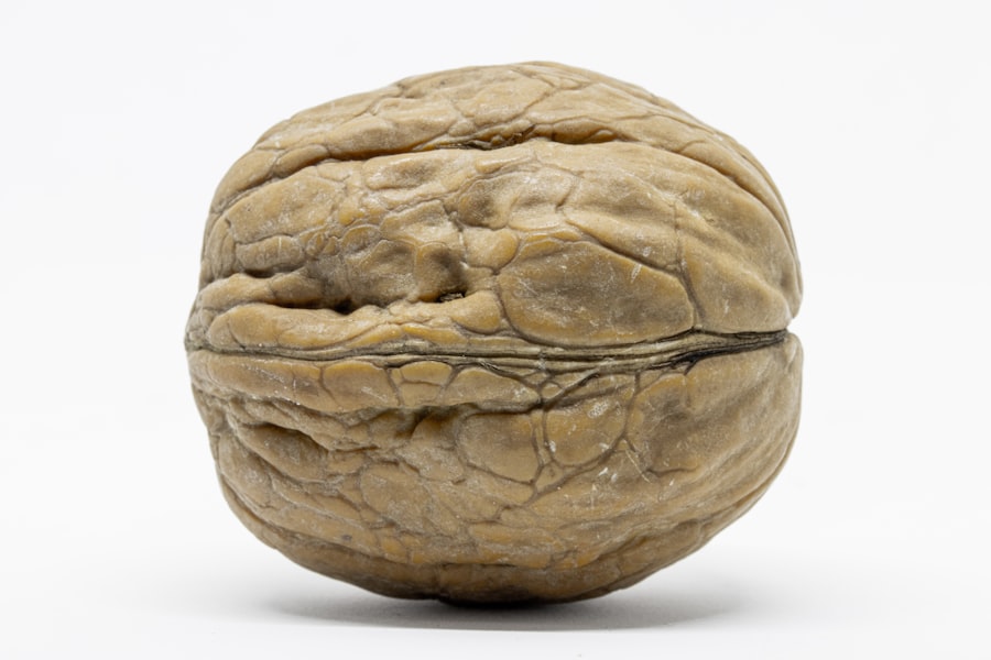 Photo brain protective foods