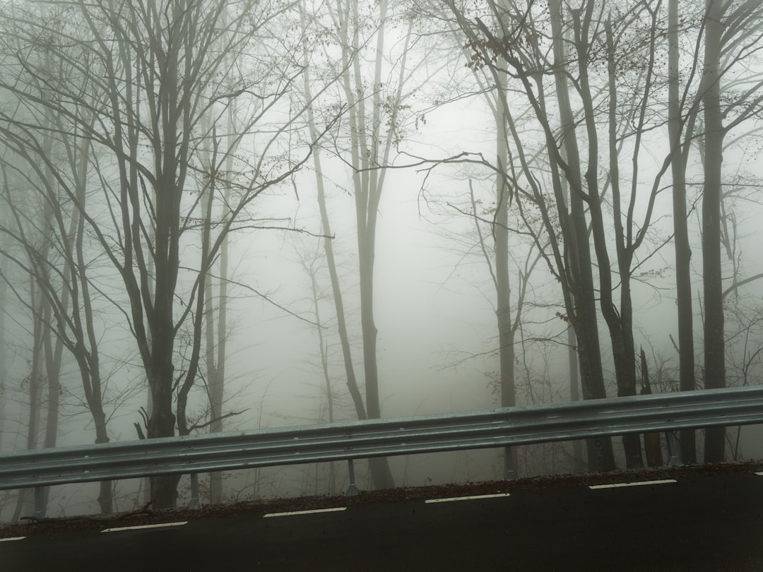 Photo brain fog