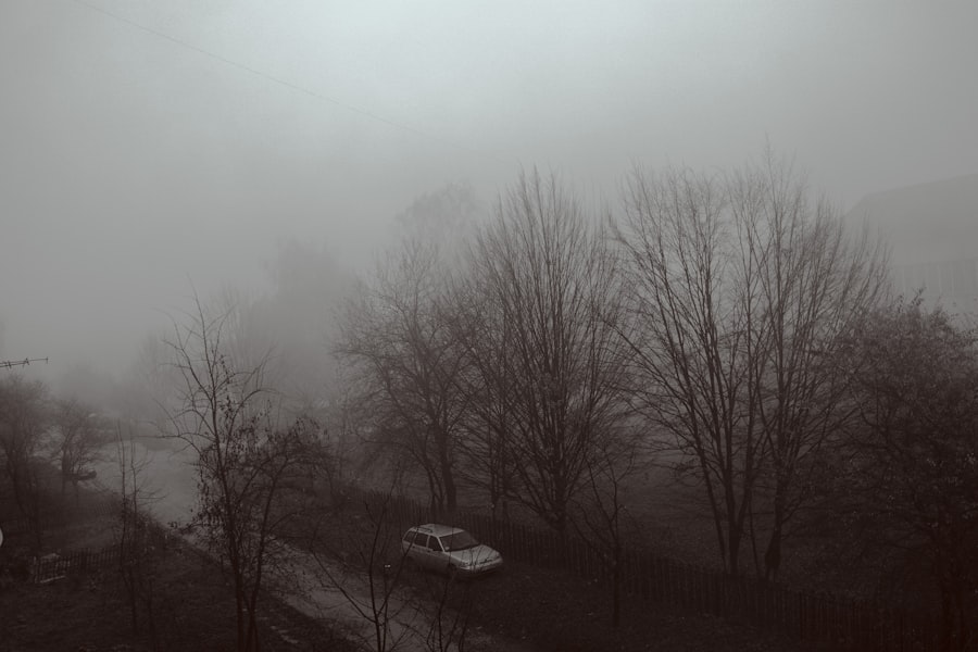 Photo brain fog