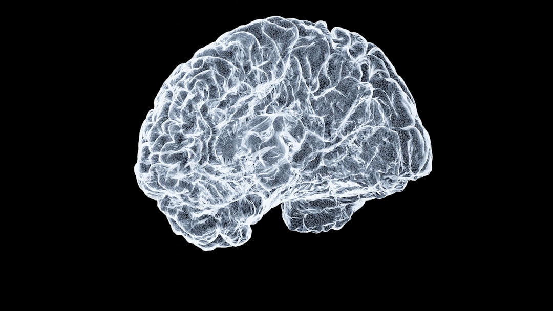 Photo brain inflammation
