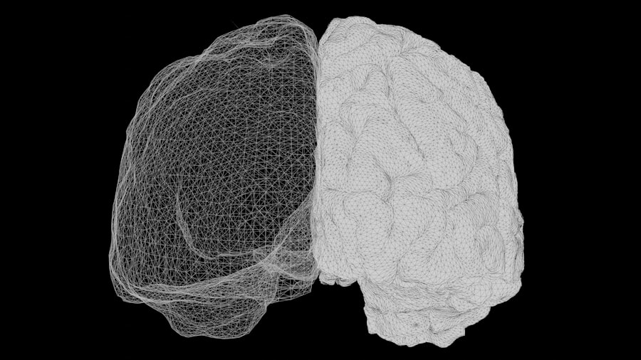 Photo aging brain