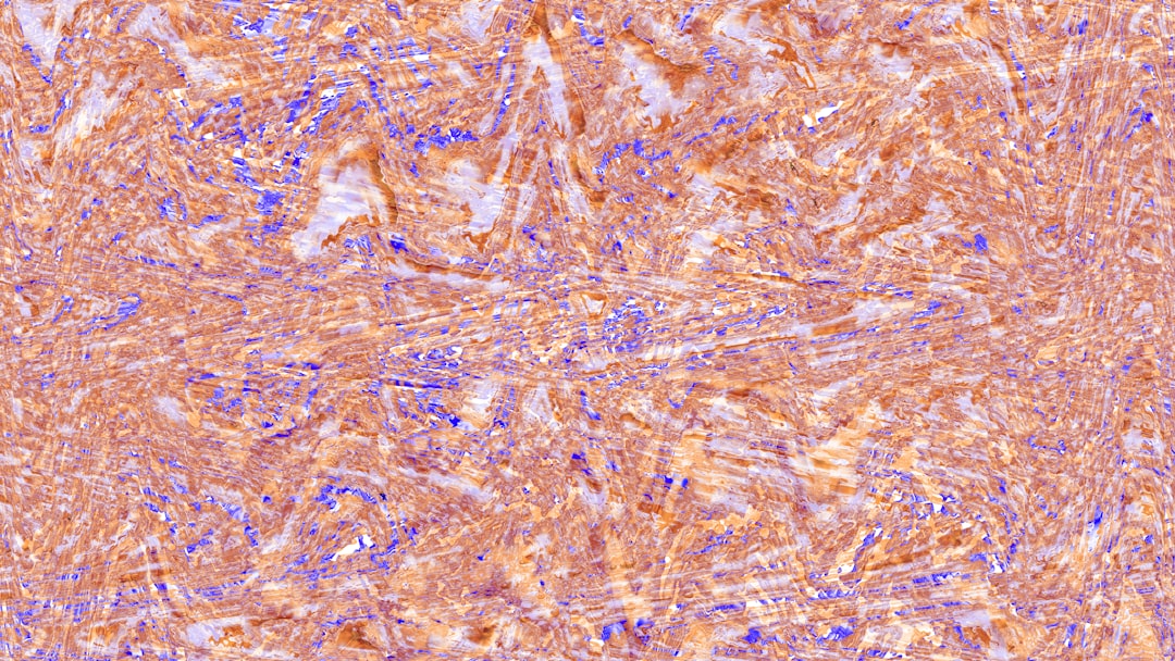 Photo reverse non alcoholic fatty liver disease