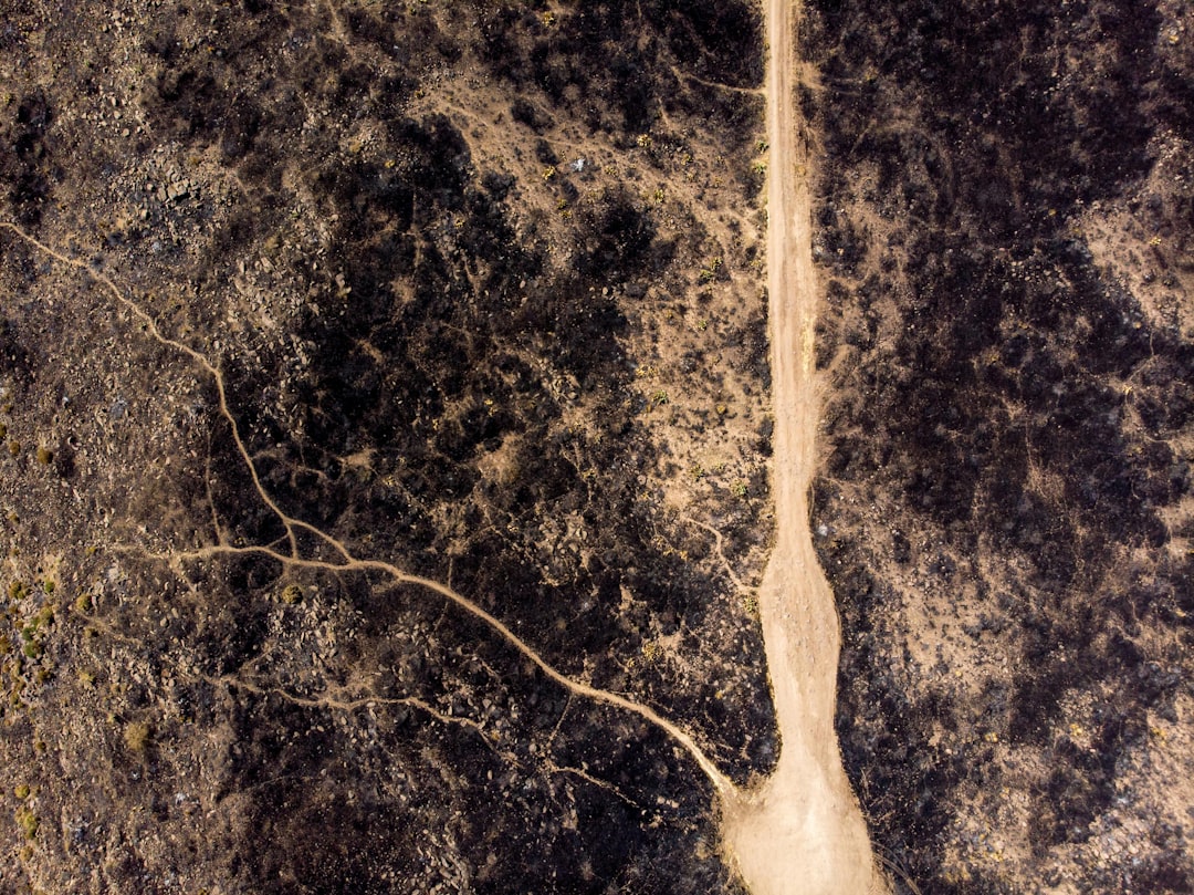 Photo B12 Neuropathy