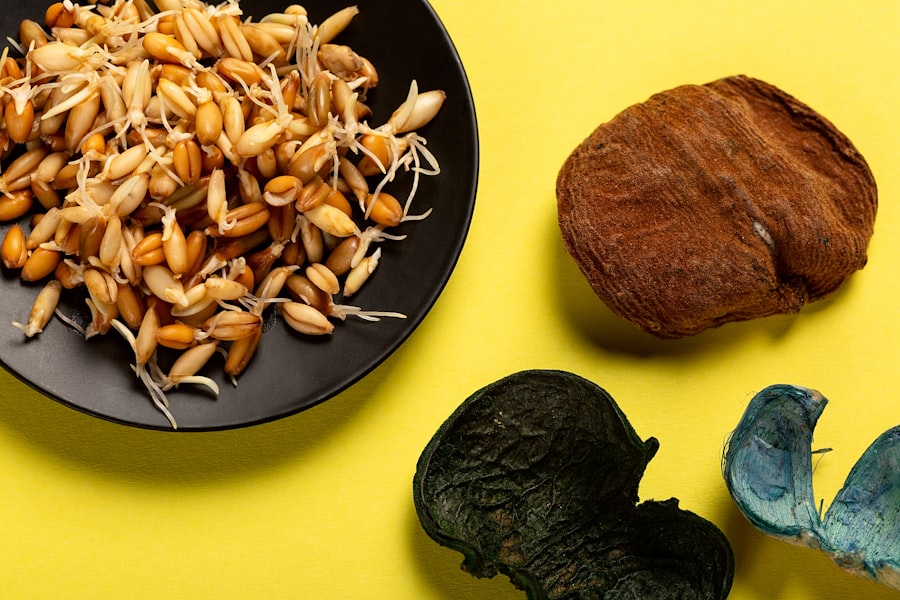 Photo protein intake