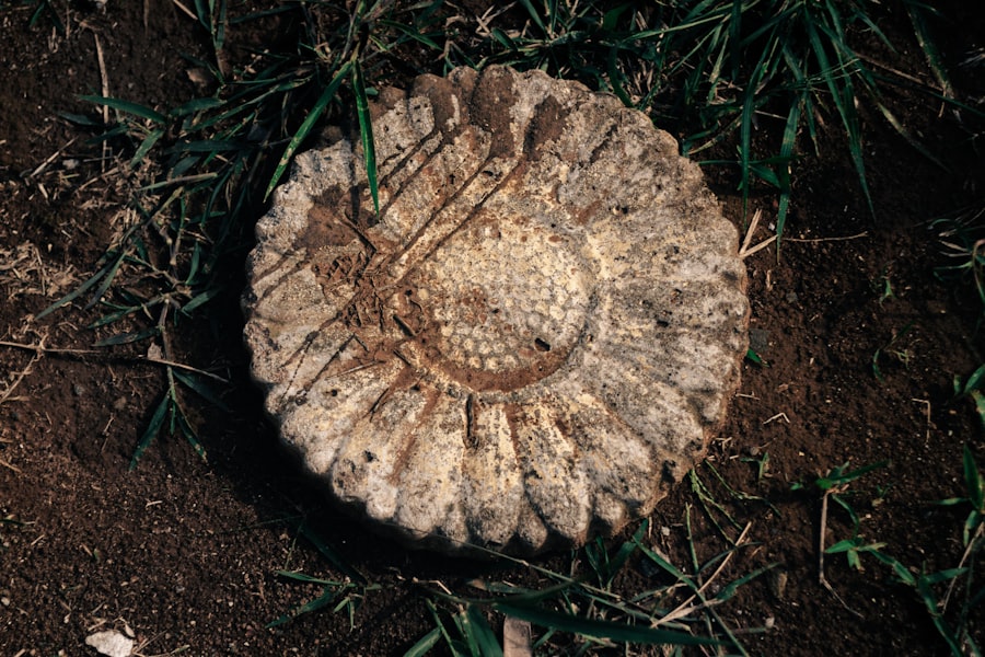 Photo Sarcopenia